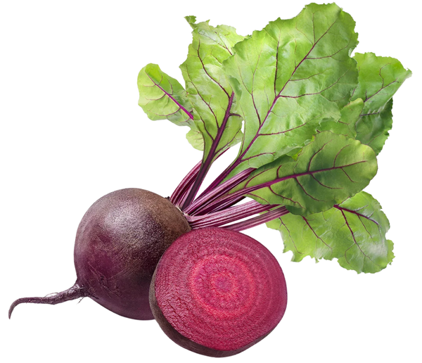 Beetroot